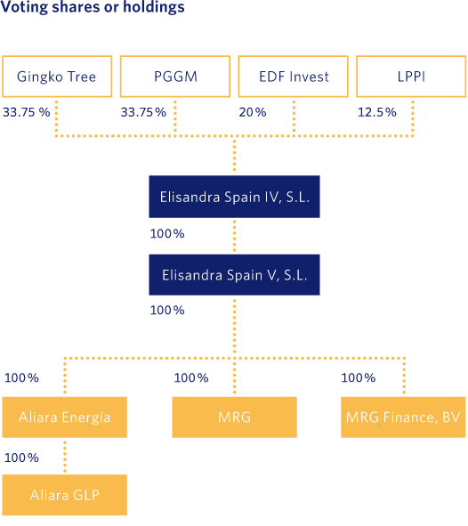 Voting shares or holdings