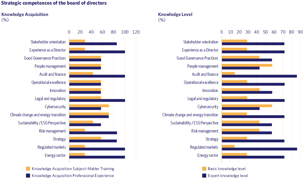 Strategic competences of the board of directors