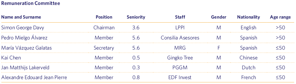 Remuneration Committee
