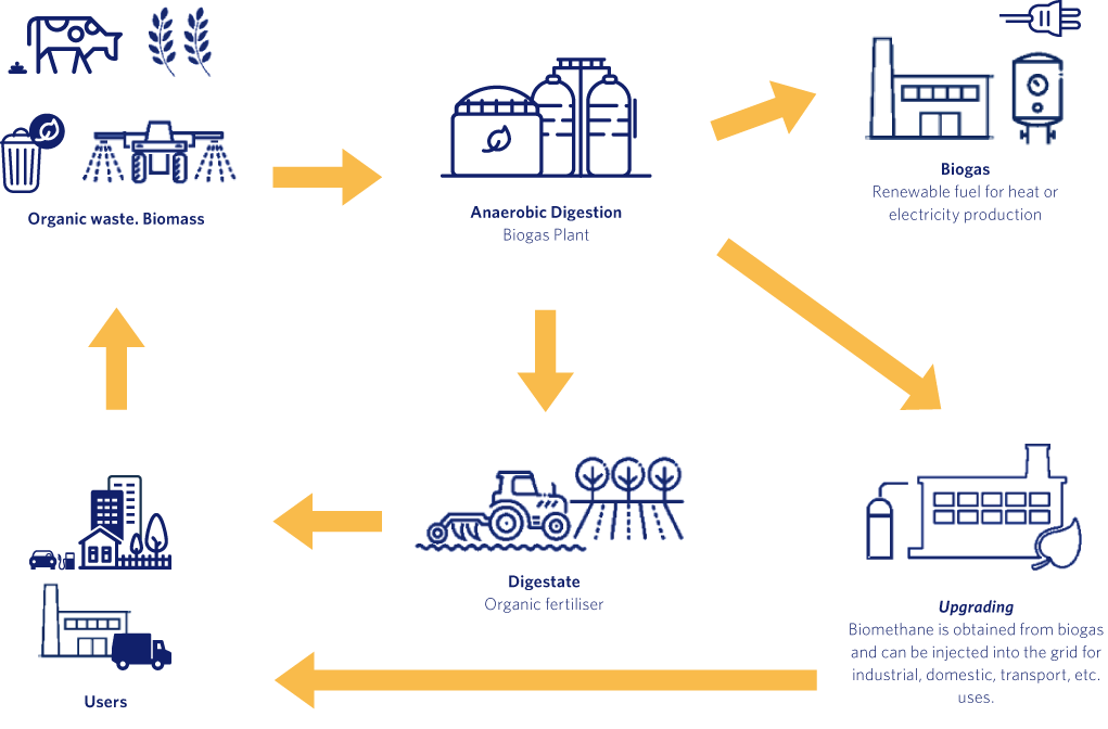 Connecting Biomethane Plants