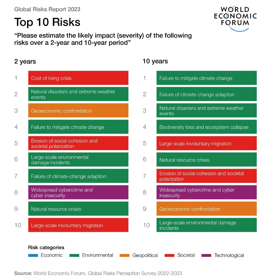 Top 10 risks