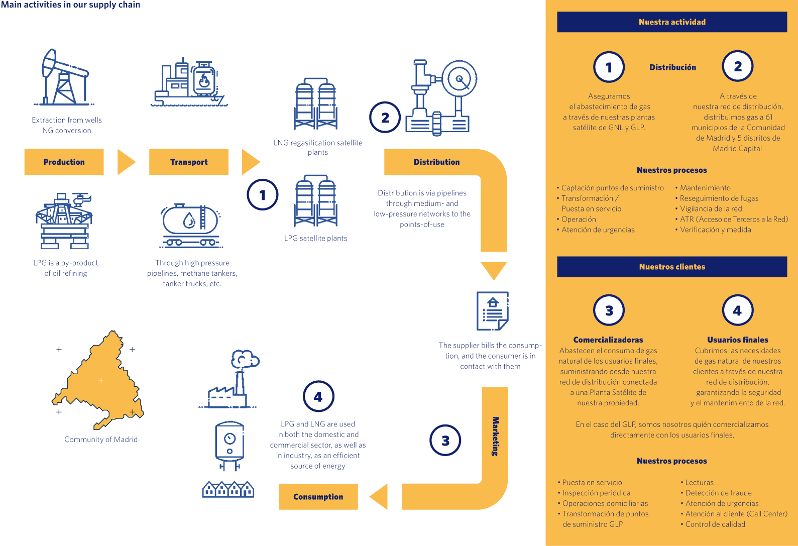 Main activities in our supply chain